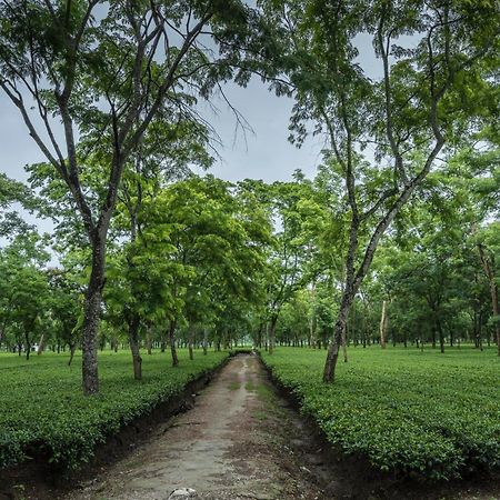 Tusker Tea County Otel Chālsa Dış mekan fotoğraf