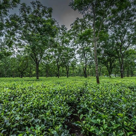 Tusker Tea County Otel Chālsa Dış mekan fotoğraf