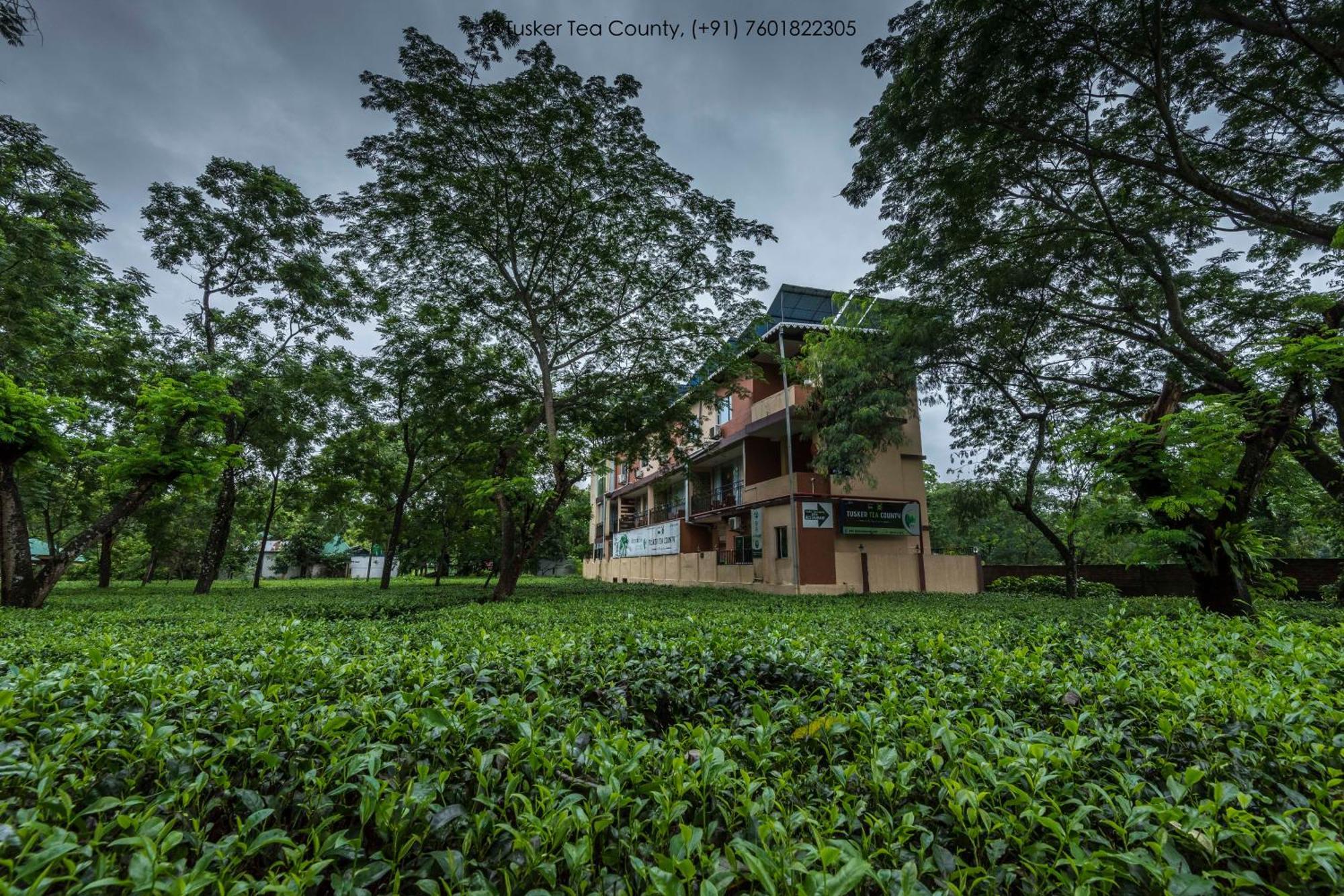 Tusker Tea County Otel Chālsa Dış mekan fotoğraf