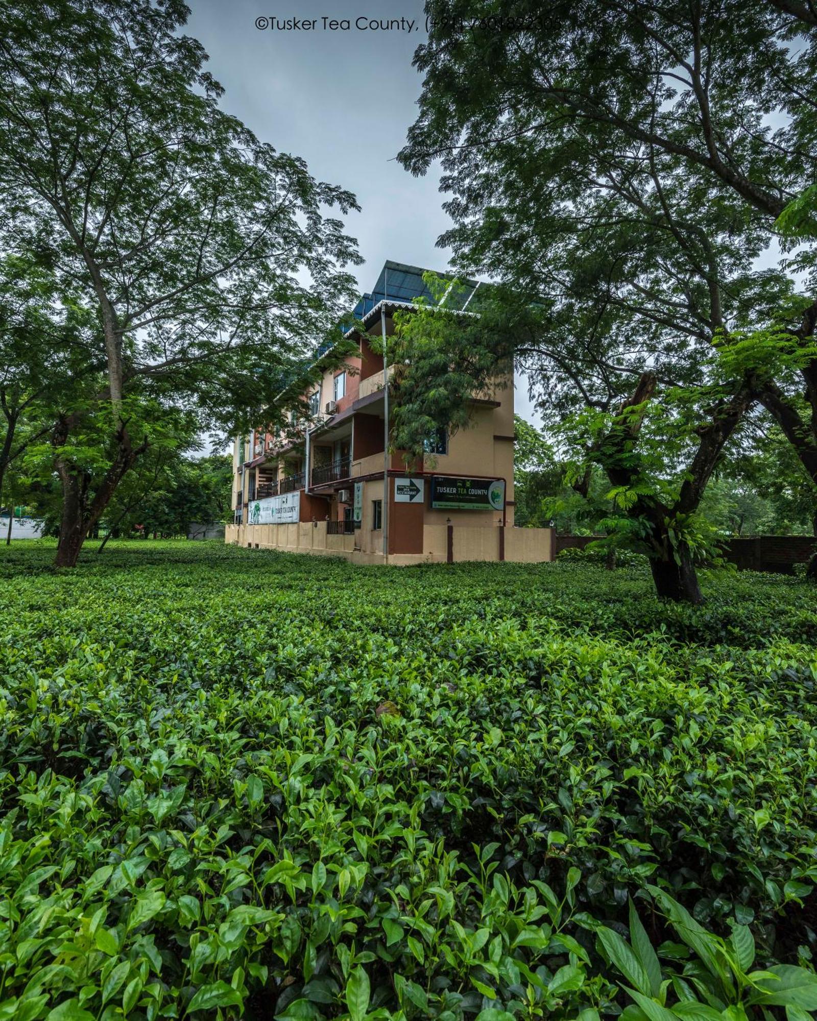 Tusker Tea County Otel Chālsa Dış mekan fotoğraf